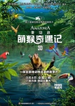 《亚马逊萌猴奇遇记》定档9.4 齐发先导海报预告