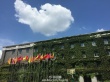 胡靜重返母校變清純學(xué)生 感懷：夢想開始的地方