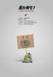 《龙在哪里？》首曝主视觉海报 鲜肉家族颜值颇高