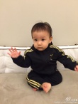 張震首曬女兒正面照 小臉肉嘟嘟盤腿打坐顯呆萌