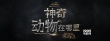 《神奇動(dòng)物》發(fā)布首支預(yù)告 魔法世界再度歸來