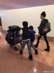 張柏芝帶兒子游日本 母子三人逛商場背影有愛
