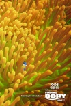 《海底总动员2》曝光新海报 多莉玩起捉迷藏