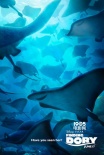 《海底總動(dòng)員2》曝光新海報(bào) 多莉玩起捉迷藏