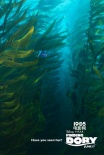 《海底总动员2》曝光新海报 多莉玩起捉迷藏