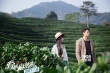 《爱情麻辣烫》曝终极预告 何润东黄灿灿谈情