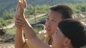 彈球里的太陽(yáng)