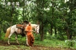 《大唐玄奘》片尾曲MV曝光 王菲版《心经》致敬