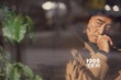 高倉(cāng)健紀(jì)錄片殺青 吳宇森、山田洋次出演憶往事