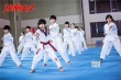 《龙拳小子》发预告 刘芮麟联手00后踢爆暑期档