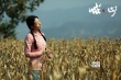 《喊·山》上影节掀情感风暴 口碑赞观众自发推荐