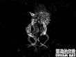 靈魂的危險(xiǎn)