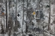 伊甸的黄昏