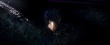 《神奇動物在哪里》曝劇照 重回神秘魔法世界