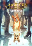 《一條叫王子的狗》發(fā)布“倒影”海報 定檔9?15