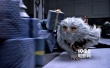 《神奇動物》詳解6種魔法生物 曝奧運版電視預(yù)告