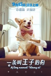 《一條叫王子的狗》曝海報 柯基曲折身世大揭秘