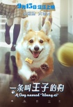 《一條叫王子的狗》終極海報:柯基王子搭學生妹