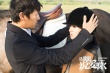 《234说爱你》定档9.23 林依晨牵手秦昊甜蜜来袭