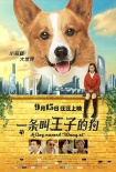 《一條叫王子的狗》終極海報(bào):柯基王子搭學(xué)生妹