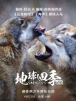 《地球四季》定档9.27 呆萌动物演绎奇趣大自然