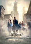 《神奇動物在哪里》宣布改檔11.25 影迷熱情不減
