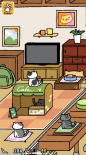 猫咪后院