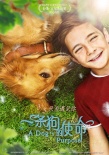 《一条狗的使命》公映 八年后狗狗再次感动世界