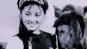 五朵金花