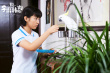 李雷和韓梅梅