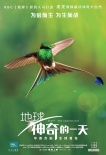 《地球》新角色海報 “蜂鳥大戰(zhàn)蜜蜂”片段曝光