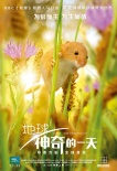 《地球》新角色海報(bào) “蜂鳥大戰(zhàn)蜜蜂”片段曝光
