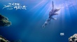 《三生三世十里桃花》曝特輯 不惜成本打造視效