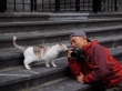 岩合光昭的猫步走世界