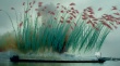 焰火天梯百城齊放 《天梯：蔡國(guó)強(qiáng)的藝術(shù)》曝預(yù)告