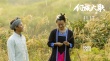 ?愛如夏花 電影《侗族大歌》發(fā)布“侗·花”海報