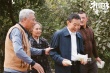 《相爱相亲》领口碑榜 张艾嘉田壮壮撒