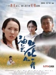 油菜花兒開