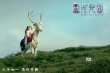 《西游記女兒國(guó)》發(fā)海報(bào) 千萬(wàn)特效打造國(guó)王趙麗穎