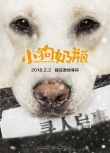 电影《小狗奶瓶》定档2月2日 萌犬守约漫漫回家路