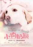 《小狗奶瓶》终极海报预告双发 成