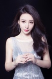 柳岩鱼尾银裙惊艳红毯 获颁“年度突破女演员”