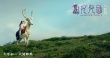 《女兒國》?？菔癄€視效炸裂 天崩地裂真情不渝