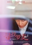 《尋找羅麥》