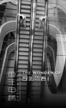 奇妙物語(yǔ)之重生電梯