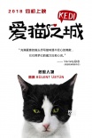 《爱猫之城》萌猫角色海报 异域风情猫萌力来袭