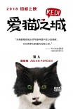 《爱猫之城》萌猫角色海报 异域风情猫萌力来袭