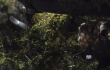 《寂靜之地》曝新預(yù)告 艾米莉·布朗特險(xiǎn)中求生