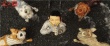 《犬之岛》今日上映 朱亚文宋佳超赞配音征服观众