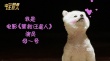 《營救汪星人》曝博美預(yù)告 雙眼皮美瞳眼萌翻人